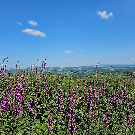 Summit Camping Kit Hill Cornwall Panoramic Views Grass Pitch From 15Pn Or Bella Bell Tent 75Pn Callington Εξωτερικό φωτογραφία