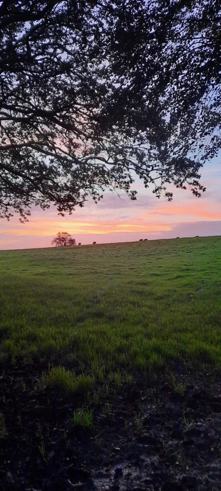 Summit Camping Kit Hill Cornwall Panoramic Views Grass Pitch From 15Pn Or Bella Bell Tent 75Pn Callington Εξωτερικό φωτογραφία